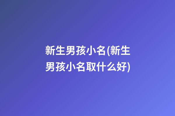 新生男孩小名(新生男孩小名取什么好)
