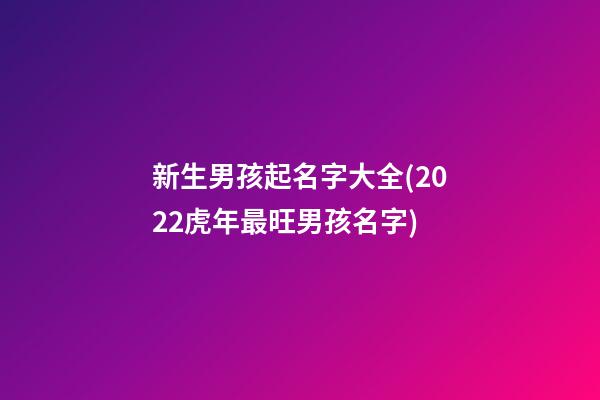 新生男孩起名字大全(2022虎年最旺男孩名字)