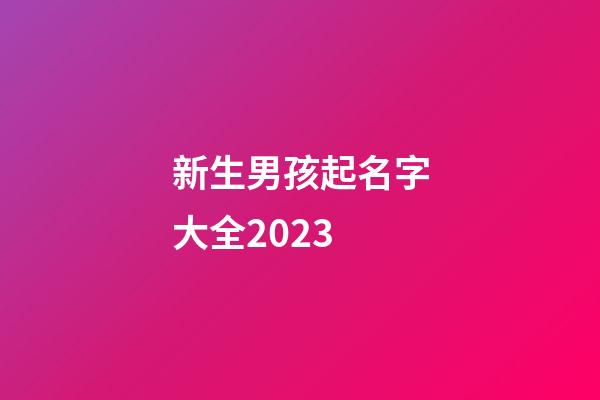 新生男孩起名字大全2023