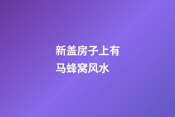 新盖房子上有马蜂窝风水