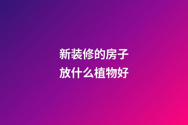 新装修的房子放什么植物好