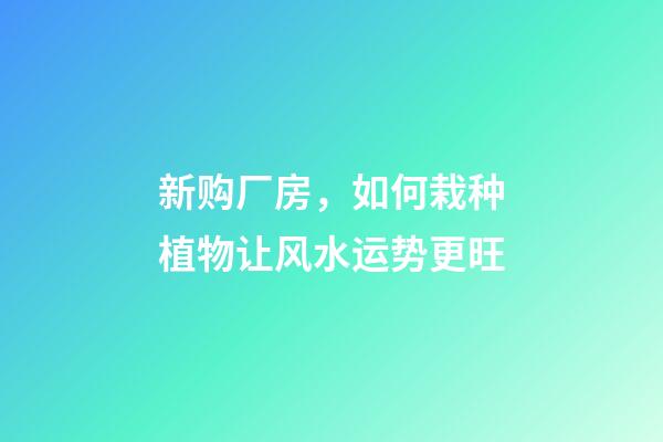 新购厂房，如何栽种植物让风水运势更旺