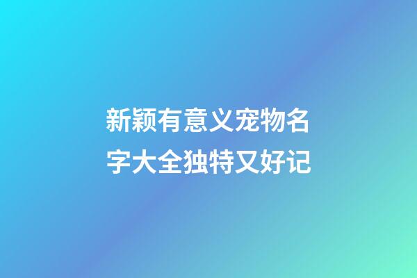 新颖有意义宠物名字大全独特又好记