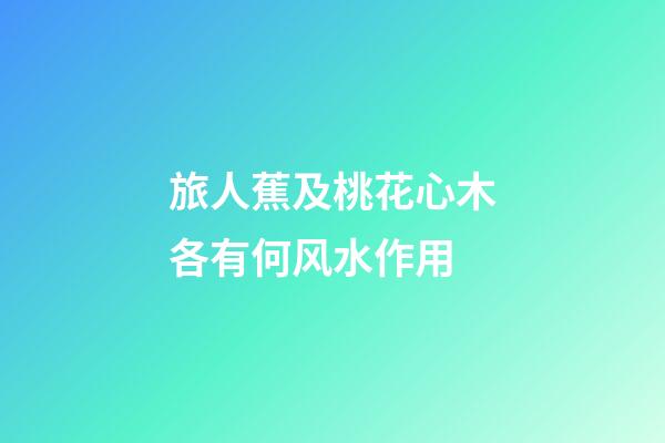 旅人蕉及桃花心木各有何风水作用?
