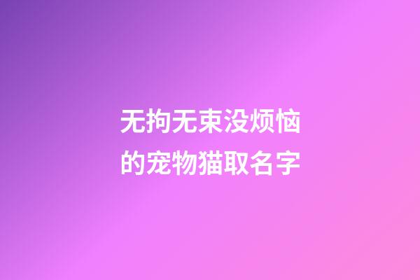 无拘无束没烦恼的宠物猫取名字