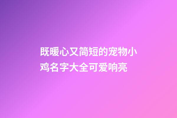 既暖心又简短的宠物小鸡名字大全可爱响亮