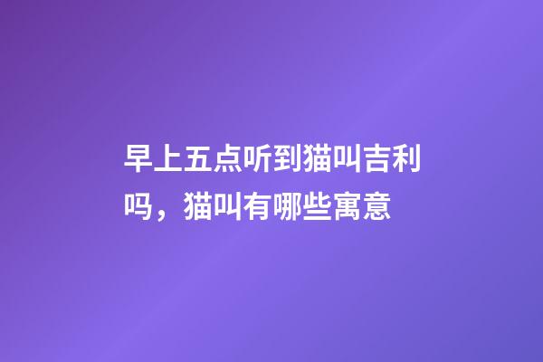 早上五点听到猫叫吉利吗，猫叫有哪些寓意