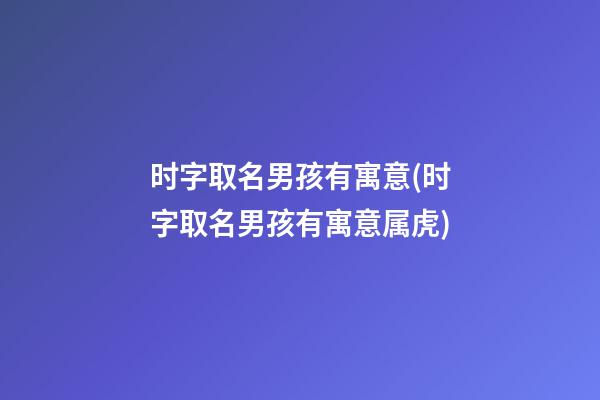 时字取名男孩有寓意(时字取名男孩有寓意属虎)