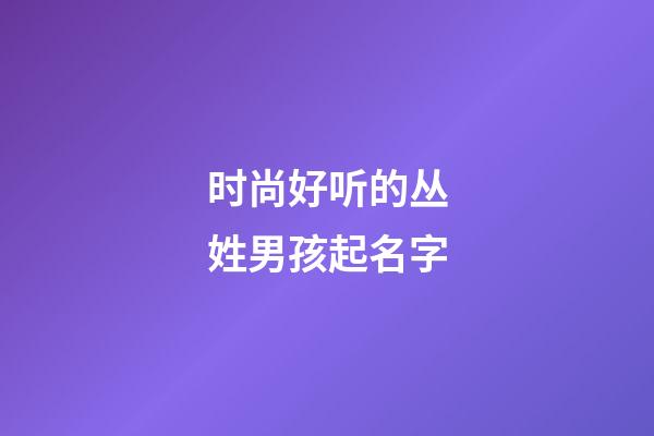时尚好听的丛姓男孩起名字