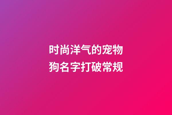 时尚洋气的宠物狗名字打破常规