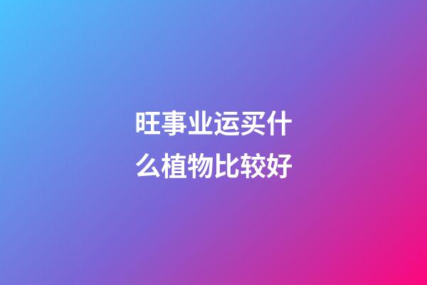 旺事业运买什么植物比较好