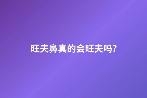 旺夫鼻真的会旺夫吗？