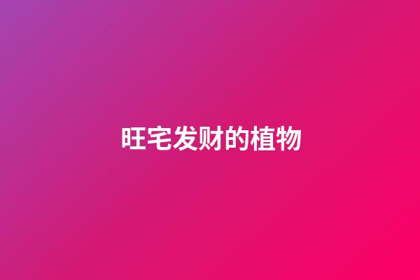 旺宅发财的植物