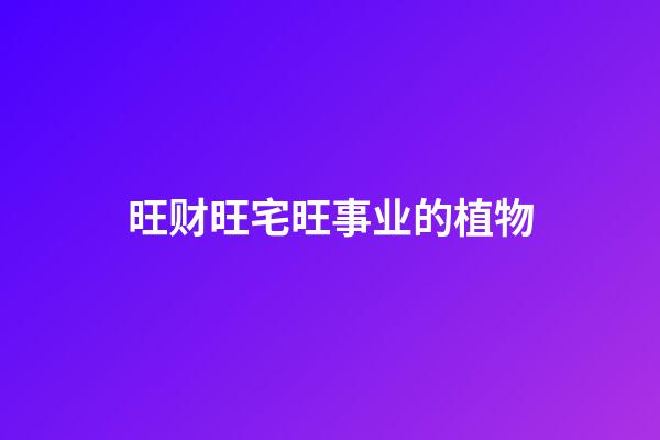 旺财旺宅旺事业的植物