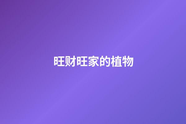旺财旺家的植物