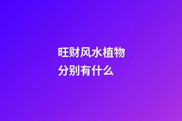 旺财风水植物分别有什么