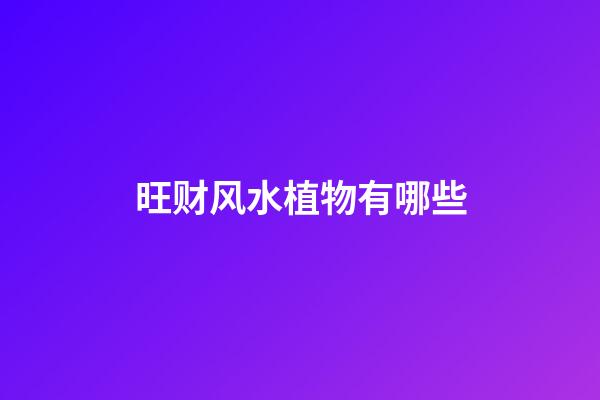 旺财风水植物有哪些