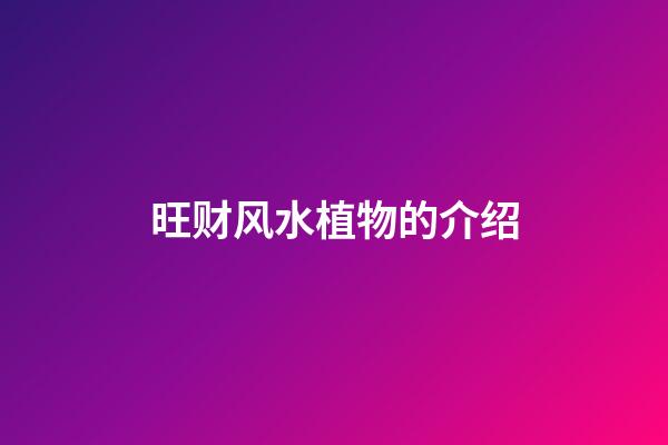 旺财风水植物的介绍