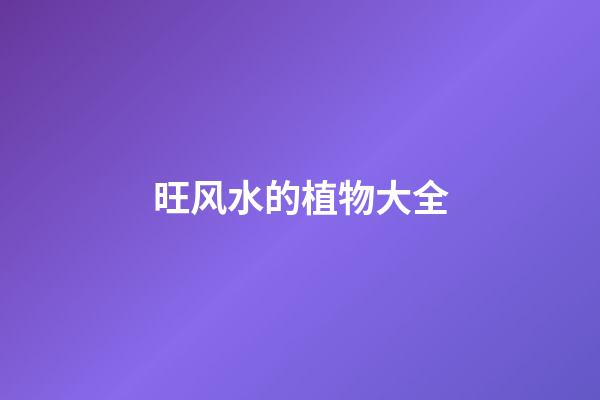 旺风水的植物大全