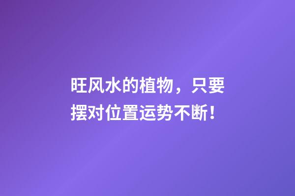 旺风水的植物，只要摆对位置运势不断！