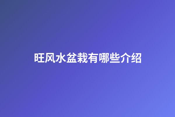 旺风水盆栽有哪些介绍