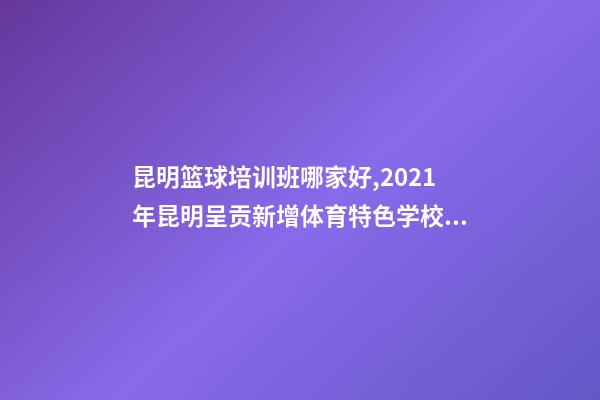 昆明篮球培训班哪家好,2021年昆明呈贡新增体育特色学校9所-第1张-观点-玄机派