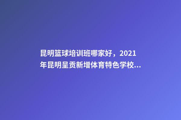 昆明篮球培训班哪家好，2021年昆明呈贡新增体育特色学校9所-第1张-观点-玄机派