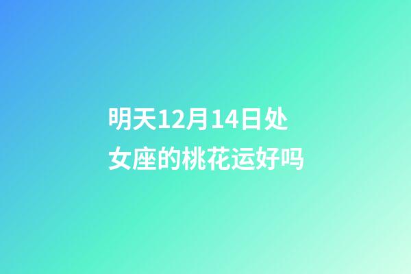 明天12月14日处女座的桃花运好吗-第1张-星座运势-玄机派