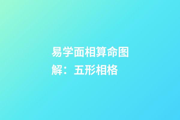 易学面相算命图解：五形相格