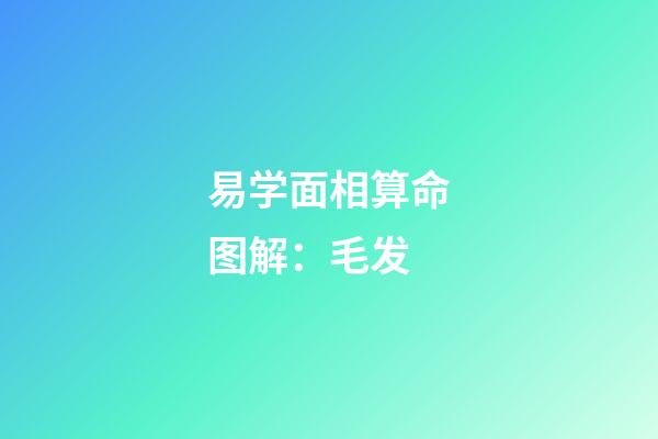 易学面相算命图解：毛发