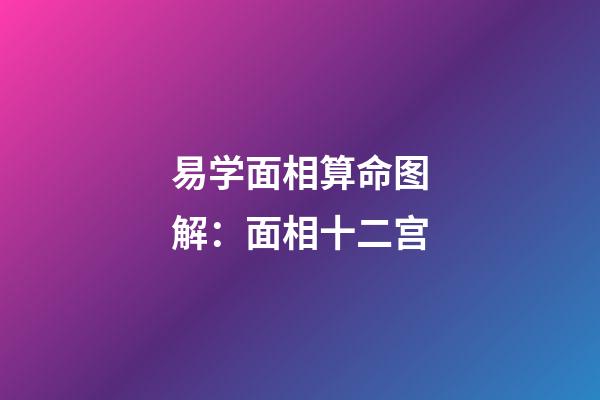 易学面相算命图解：面相十二宫
