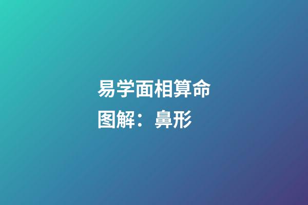 易学面相算命图解：鼻形
