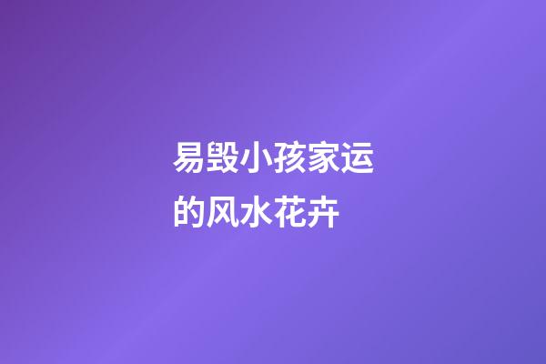 易毁小孩家运的风水花卉