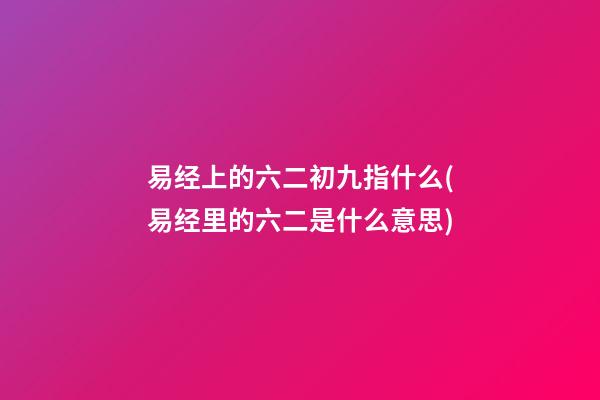 易经上的六二初九指什么(易经里的六二是什么意思)