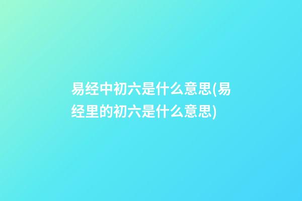 易经中初六是什么意思(易经里的初六是什么意思)