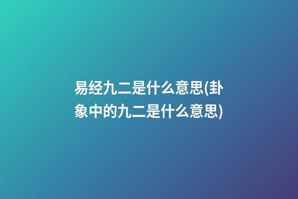 易经九二是什么意思(卦象中的九二是什么意思)