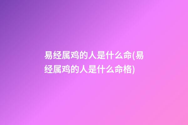 易经属鸡的人是什么命(易经属鸡的人是什么命格)