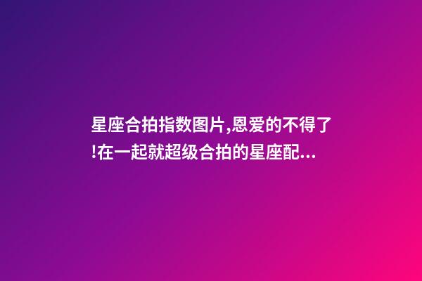 星座合拍指数图片,恩爱的不得了!在一起就超级合拍的星座配对前5名大公开!-第1张-观点-玄机派