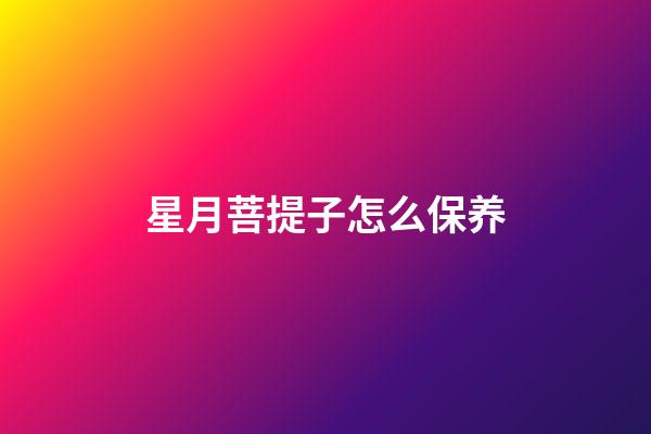 星月菩提子怎么保养