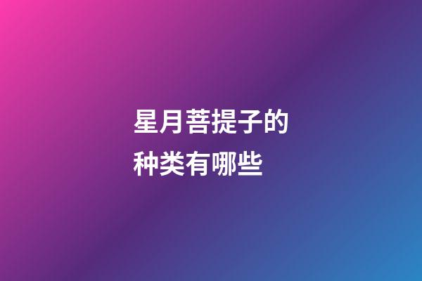 星月菩提子的种类有哪些