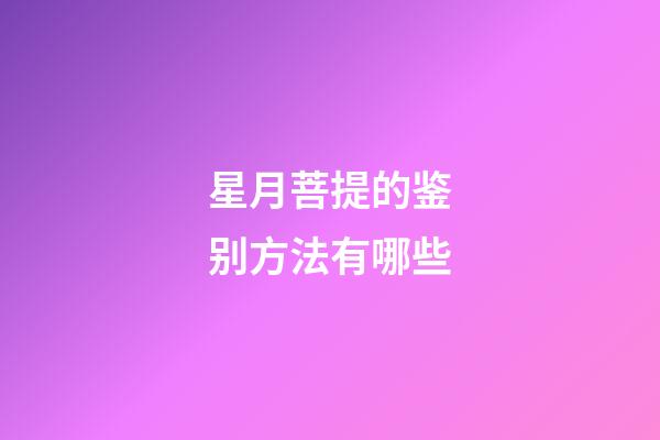 星月菩提的鉴别方法有哪些