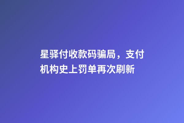 星驿付收款码骗局，支付机构史上罚单再次刷新-第1张-观点-玄机派