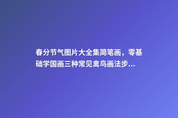 春分节气图片大全集简笔画，零基础学国画三种常见禽鸟画法步骤图解