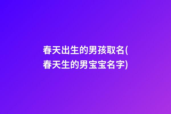 春天出生的男孩取名(春天生的男宝宝名字)