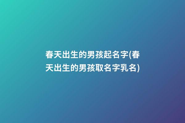 春天出生的男孩起名字(春天出生的男孩取名字乳名)