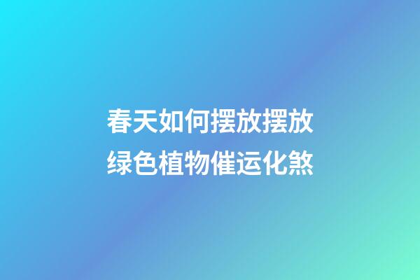 春天如何摆放摆放绿色植物催运化煞