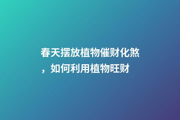 春天摆放植物催财化煞，如何利用植物旺财