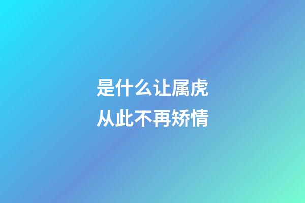 是什么让属虎从此不再矫情