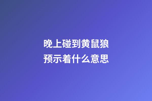 晚上碰到黄鼠狼预示着什么意思