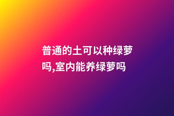 普通的土可以种绿萝吗,室内能养绿萝吗-第1张-观点-玄机派